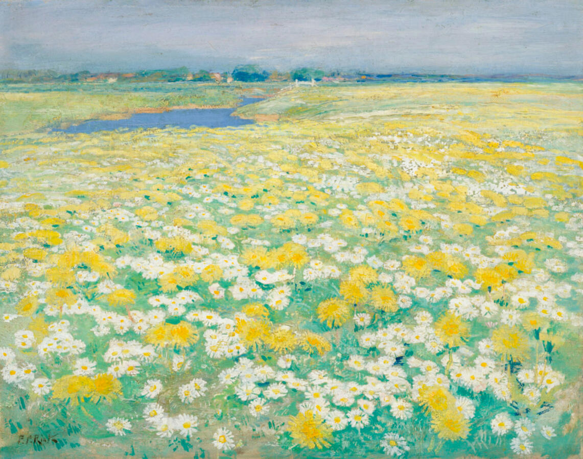 Paulus Philippus - A field with flowers